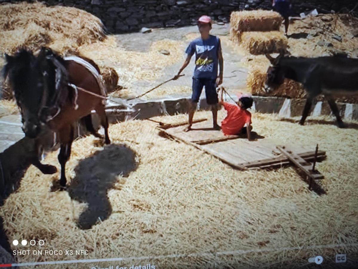 Kampos Home Аполония Екстериор снимка